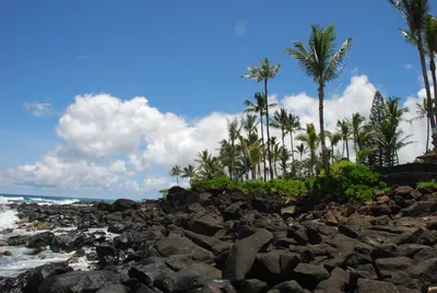 2007_05_30_HAWAII (50) (Large).JPG